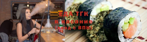 ECSTASY Ельня