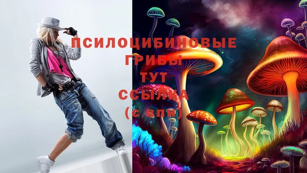 ECSTASY Богданович