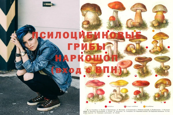 метадон Бородино