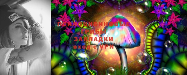 ешки Инсар