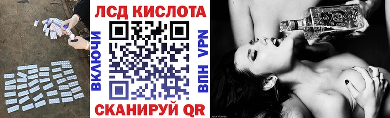 как найти   Жердевка  blacksprut зеркало  Лсд 25 экстази кислота 